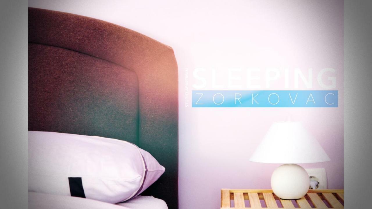 OzaljStudio Apartman Zorkovacアパートメント エクステリア 写真