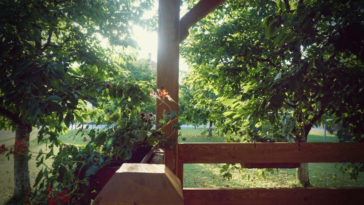 OzaljStudio Apartman Zorkovacアパートメント エクステリア 写真